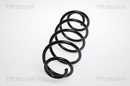 Triscan spiralfeder hinten - spiralfeder,