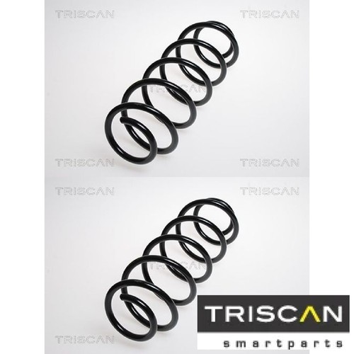 Fahrwerksfeder triscan - 2x,
